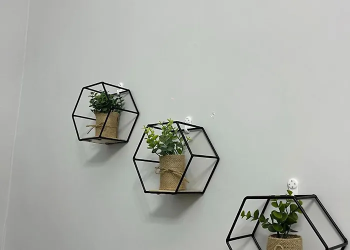 Zimari Naples