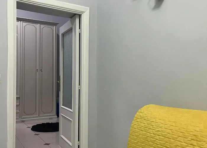 Zimari * Неаполь