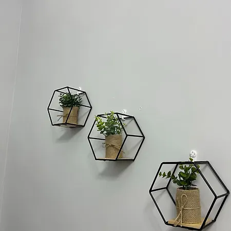 Zimari Neapol